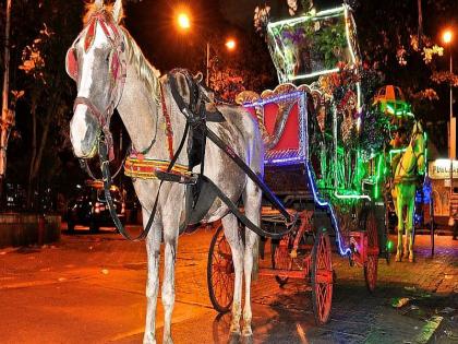 Electric horse carriage in Mumbai, Thane; Electric Vehicle Policy Discounts apply | मुंबई, ठाण्यात टांग्यांच्या जागी विद्युत घोडागाडी; इलेक्ट्रिक व्हेइकल धोरणाच्या सवलती लागू