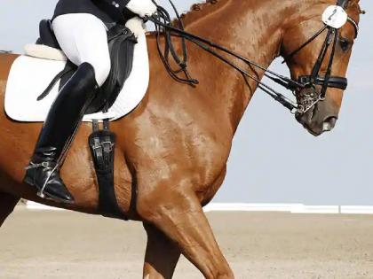 Japlup Equestrian competes in The Royal Horse Show | द राॅयल हाॅर्स शो मध्ये ‘जापलुप इक्वेस्टेरियन’ची बाजी!