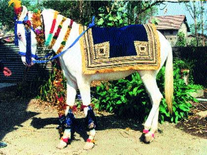 Stopping at the wedding party to haul the horse; The time of famine came upon the merchants | लग्नाच्या वराती थांबल्याने घोडा दावणीला; व्यावसायिकांवर आली उपासमारीची वेळ