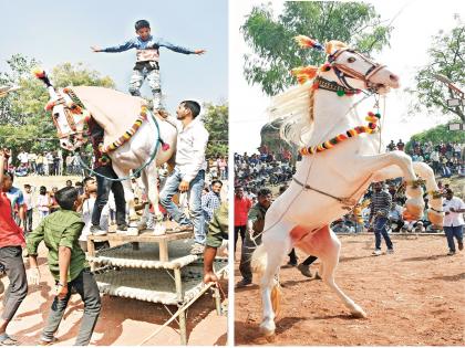 'Horse Power' of Dance in Harsul Yatra; Spectators feast on gems, gold and shambhu | हर्सूल यात्रेत नृत्याची ‘हॉर्स पॉवर’; गण्या, सोन्या, शंभूवर प्रेक्षक फिदा 