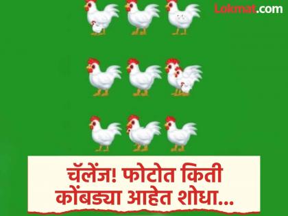 Optical illusion : फोटोत एकूण कोंबड्या किती सांगा आणि जीनिअस ठरा, तेही फक्त 15 सेकंदात!
