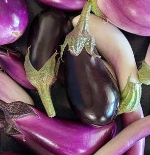 वांगी किडलेली आहेत की चांगली कसं ओळखाल? भाजी खरेदी करताना लक्षात ठेवा ४ टिप्स