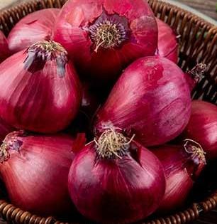 'असा' कांदा करतो तब्येतीचा वांदा! कांदा विकत घेताना कायम लक्षात ठेवा ५ गोष्टी...