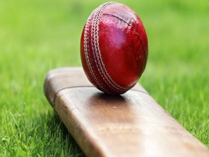 Two Indian cricketers arrested for match-fixing in karnataka premier league | मॅच फिक्सिंग प्रकरणी आणखी दोन भारतीय क्रिकेटपटूंना अटक