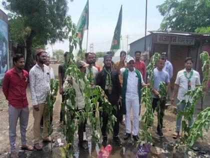 Protest against Khamgaon municipal administration by planting Besharam trees | बेशरमची झाडे लावून खामगाव नगर पालिका प्रशासनाचा निषेध