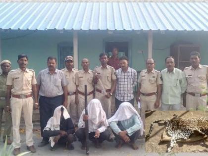 Tandulwani forest hunting case: Three hunters arrested | तांदूळवाणी जंगलातील शिकारप्रकरण : तीन शिकारी अटकेत