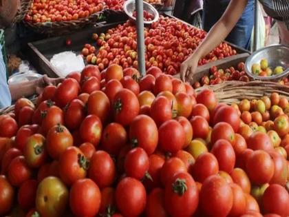 Tomatoes at petrol prices; Rising rates due to declining incomes, a financial blow to the common man | पेट्रोलच्या दरात मिळताहेत टोमॅटो; आवक घटल्याने दरामध्ये वाढ, सर्वसामान्यांना आर्थिक फटका