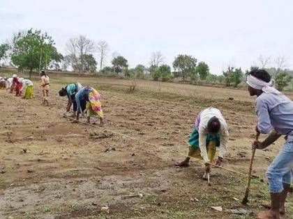 The ‘price’ of seeds, fertilizers doubled in five years; Farmers in trouble | बियाणे, खतांचे ‘दाम’ पाच वर्षांत दुप्पट; शेतकरी अडचणीत