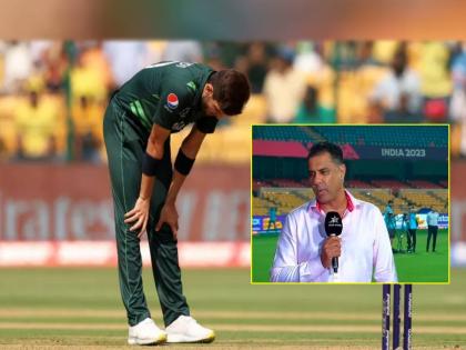  ICC odi world cup 2023, pak vs aus Waqar Younus said after losing to Australia, I am half Australian, don't call me only Pakistani  | "मला फक्त पाकिस्तानी म्हणू नका...", ऑस्ट्रेलियाकडून 'करेक्ट कार्यक्रम' अन् वकारचं अजब विधान