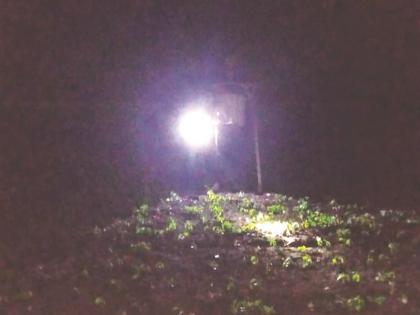 Farmers stay up all night to protect their crops | कोवळ्या पिकांच्या रक्षणासाठी शेतकऱ्यांची रात्रभर जागल