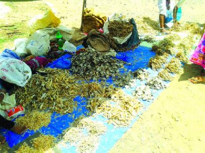 The crowd for the pre-monsoon purchase of the tribals | आदिवासींची मान्सूनपूर्व खरेदीसाठी गर्दी