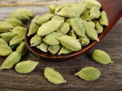 cardamom health benefits for cold cough flu dry throat sore throat congestio | सर्दी-खोकल्यासोबतच अनेक आजारांवर फायदेशीर ठरते वेलची!