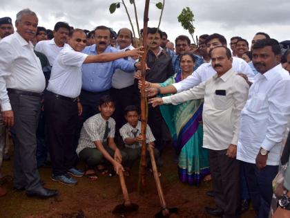 Let the plantation, protect the environment by protecting human life - Rane | वृक्षारोपण करू या, पर्यावरणाचे रक्षण करून मानवी जीवन सुरक्षित करू या - राणे 