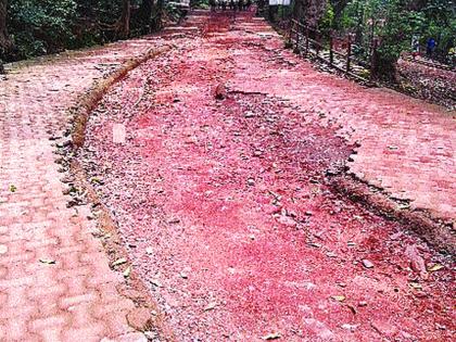 Matheran is facing various problems, the misery of Mahatma Gandhi road, the inconvenience of tourists due to no toilet | माथेरानला विविध समस्यांचा विळखा, महात्मा गांधी रस्त्याची दुर्दशा, शौचालय नसल्याने पर्यटकांची गैरसोय