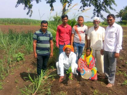 Mother's bone is immersed in the field without immersion in water, planted plantations in the same place | आईच्या अस्थींचे पाण्यात विसर्जन न करता शेतात केले विसर्जन, त्याच ठिकाणी केले वृक्षारोपण