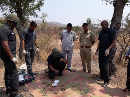  39 Village bomb blast in Dolarkkhada forest area of ​​Jalgaon district | जळगाव जिल्ह्यातील डोलारखेडा वनक्षेत्रात ३९ गावठी बॉम्ब नष्ट