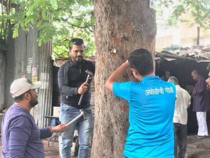 nail free tree campain now became movement | खिळेमुक्त झाडे या अभियानाची झाली चळवळ