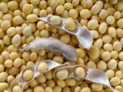 There will be a shortage of one and a half thousand quintals of soybean seeds | दीड हजार क्विंटल सोयाबीनच्या बियाण्याचा भासणार तुटवडा