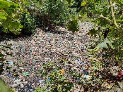 ditches and gullies in Mira Bhayander were filled with garbage | मीरा भाईंदर मधील खाडया व नाले कचऱ्याने भरले; पालिकेची नालेसफाई फोल तर कचरा टाकणारायांना अभय