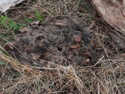 The mountain pond ... the rat went; Rumors of a dead body spread and a dead dog came out as soon as it was opened | डोंगर पोखरला... निघाला उंदीर; मृतदेहाची पसरली अफवा अन् पोते उघडताच निघालं मेलेलं कुत्रं