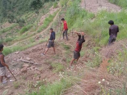 In Nagpur too, the names of forest laborers were found in the Forest Development Corporation? | नागपुरातही वनविकास महामंडळात वनमजुरांच्या नावे घाेटाळा?