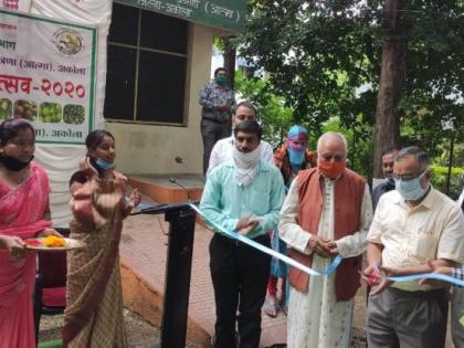 Inauguration of Vegetable Festival in Akola | अकोल्यात रानभाज्या महोत्सवाचे उद्घाटन