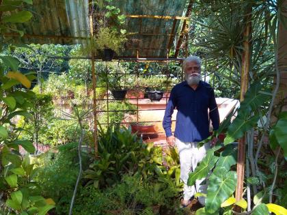 Video : 'School' of birds that have been filling the terrace of 75 year old grandfather in Pune from 30 years! | Video: पुण्यातील ७५ वर्षीय आजोबा गच्चीवर भरवतात ३० वर्षांपासून पक्षांची 'शाळा'