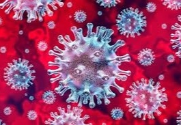 Pune Corona virus News: 5,651 new corona positive in Pune and 2,784 in Pimpri on Wednesday | Pune Corona virus News: पुणे शहरात बुधवारी ५ हजार ६५१  तर पिंपरीत २,७८४ जण नवे कोरोना पॉझिटिव्ह