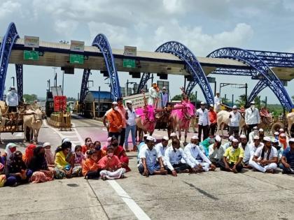 'Toll close' agitation of farmers by bullock carts on the Indapur toll plaza | इंदापूर टोल नाक्यावर बैलगाड्यांसह शेतकऱ्यांचे 'टोल बंद' आंदोलन