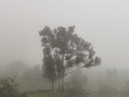 Weather Alert: Heavy rains in Konkan, Central Maharashtra, Vidarbha | Weather Alert : कोकण, मध्य महाराष्ट्र, विदर्भात तुरळक ठिकाणी जोरदार पाऊस 