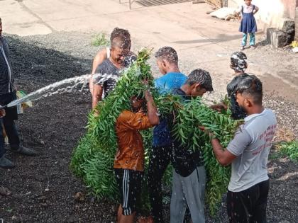 For rain, Varun Raja is taken to Sakade, a stone is removed | पावसासाठी वरुणराजाला साकडे, काढण्यात येताय धोंडी