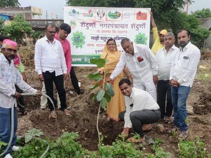 Tree planting through Shendurni Nagar Panchayat | शेंदुर्णी नगर पंचायतीमार्फत वृक्ष लागवड