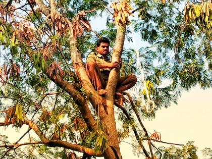 Exciting! ST staff climbed the tree to strangle, relatives and protesters below Tahoe | खळबळजनक ! एसटी कर्मचारी गळफास घेण्यासाठी चढला झाडावर, खाली नातेवाईक आणि आंदोलकांचा टाहो