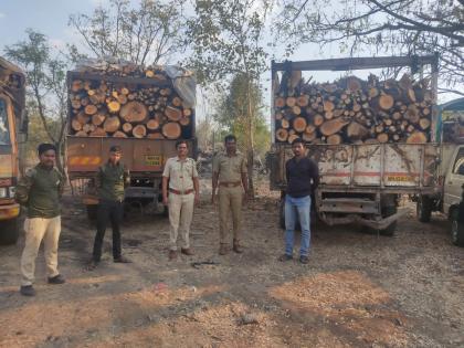 Big news; Prevented illegal logging; Four vehicles with timber seized | मोठी बातमी; अवैध वृक्षतोड घेऊन निघालेली वाहतूक रोखली; लाकडासह चार वाहने जप्त