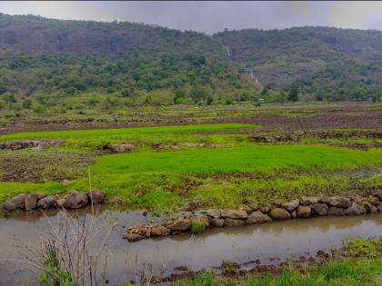 Where have the bounty land laws gone? The original owner is landless! | इनामी जमिनीचे कायदे गेले कुठे? मूळ मालक होतायेत भूमिहीन !