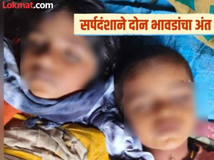 Kaalratri! Two siblings die in their sleep due to snake bite, Koyal village shaken | काळरात्र! सर्पदंशाने दोन सख्या भावंडांचा झोपेतच मृत्यू, कोयाळ गाव हादरलं Kaalratri! Two siblings die in their sleep due to snake bite, Koyal village shaken | काळरात्र! सर्पदंशाने दोन सख्या भावंडांचा झोपेतच मृत्यू, कोयाळ गाव हादरलं