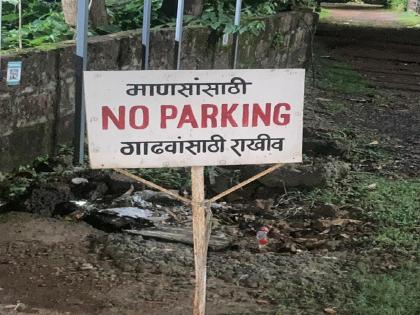 No parking for humans, reserved for donkeys A glimpse of Puneri Party emerged in Ratnagiri | रत्नागिरीतही उमटली पुणेरी पाटीची झलक, बेशिस्त वागणाऱ्या वाहनचालकांना शब्दांचा मार No parking for humans, reserved for donkeys A glimpse of Puneri Party emerged in Ratnagiri | रत्नागिरीतही उमटली पुणेरी पाटीची झलक, बेशिस्त वागणाऱ्या वाहनचालकांना शब्दांचा मार