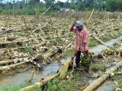 Adverse effects of climate change on agriculture in the state | हवामान बदलाचा राज्यातील शेतपिकांवर वाईट परिणाम