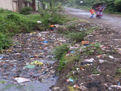 In Jalgaon, there is now a handful of chickun guniya | जळगावात आता चिकुन गुनिया पसरतोय हातपाय