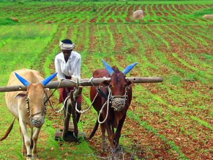 Deadline for 'Prime Minister's Crop Insurance Scheme' | ‘प्रधानमंत्री पीक विमा योजने’साठी मुदतवाढ