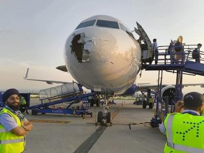 Saved by courage! Both pilots of indigo plane banned from flying till enquiry ends; DGCA orders | धैर्य राखून वाचविले! त्या विमानाच्या दोन्ही पायलटना विमानोड्डाणास मनाई; डीजीसीएचे आदेश Saved by courage! Both pilots of indigo plane banned from flying till enquiry ends; DGCA orders | धैर्य राखून वाचविले! त्या विमानाच्या दोन्ही पायलटना विमानोड्डाणास मनाई; डीजीसीएचे आदेश