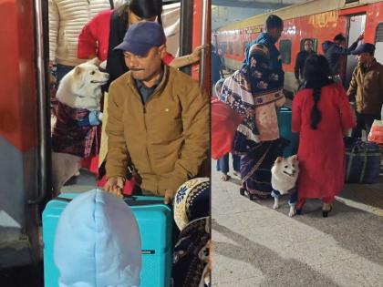 'एसी-थ्री टियर'मध्ये प्रवाशासोबत कुत्रा! रेल्वेतून नेता येतो का? व्हिडिओ व्हायरल होताच रेल्वे 'सेवा' झाली सक्रिय