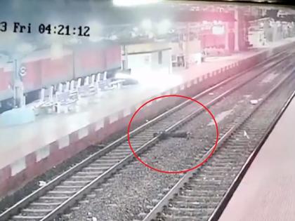 slept on railway tracks to commit suicide; train arrives, see the shocking video | जीव देण्यासाठी रेल्वे रुळावर झोपला; काही सेकंदात ट्रेन आली अन्...पाहा धक्कादायक Video