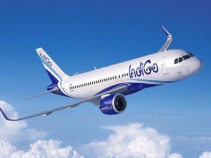 Inconvenience in IndiGo flight, husband not given seat next to wife, BJP spokesperson writes to Mohol | इंडिगोच्या फ्लाईटमध्ये गैरसोय, पतीला पत्नीच्या शेजारी आसन दिले नाही, भाजप प्रवक्त्याचे मोहोळ यांना पत्र