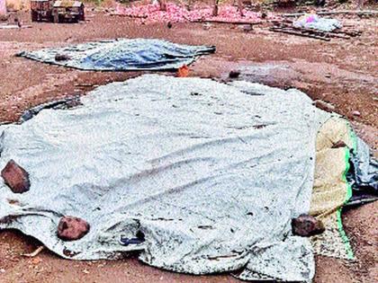 Rain in Dand, Indapur, Shirur taluka with torrential wind | दौैंड, इंदापूर, शिरूर तालुक्यात वादळी वाऱ्यासह पावसाच्या सरी