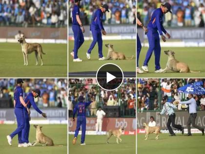 Snake in Guwahati, Dog in Delhi; Dog invades pitch during 3rd ODI between India vs South Africa, Watch Video  | IND vs SA ODI : गुवाहाटीत साप अन् दिल्लीत दुसराच ताप! तिसऱ्या वन डेत अनोळखी पाहुण्याने घातला गोंधळ, Video 