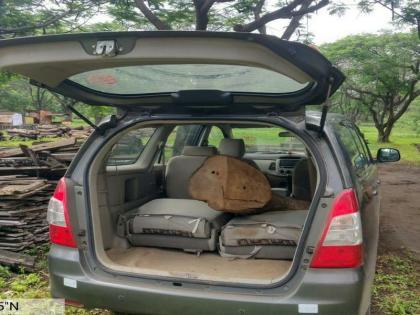 Saga smuggling from luxurious 'Innova' by timber smugglers from Gujarat | गुजरातच्या लाकूड तस्करांकडून आलिशान 'इनोव्हा'मधून सागाची तस्करी