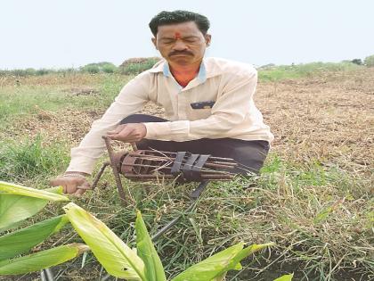  Grassroot Innovator: The farmer has developed an idea that drip Pepsi pipe rolling machine | ग्रासरूट इनोव्हेटर : शेतकऱ्याने हटके कल्पना राबवत बनवले ठिबक पेप्सी पाईप गुंडाळणारे यंत्र