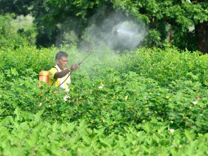 Install new SIT for inquiry of death of farmers | शेतकरी मृत्यूंच्या चौकशीसाठी नवीन एसआयटी स्थापन करा