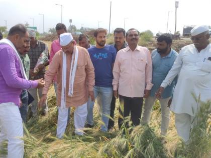 In just 8 minutes, Agriculture Minister Abdul Sattar inspected the damage; Resentment among farmers | फक्त ८ मिनिटांत कृषिमंत्री अब्दुल सत्तरांनी केली नुकसानीची पाहणी; शेतकऱ्यांमध्ये नाराजी